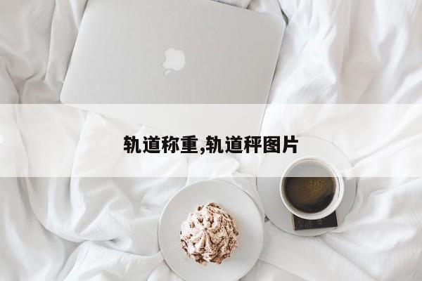 轨道称重,轨道秤图片